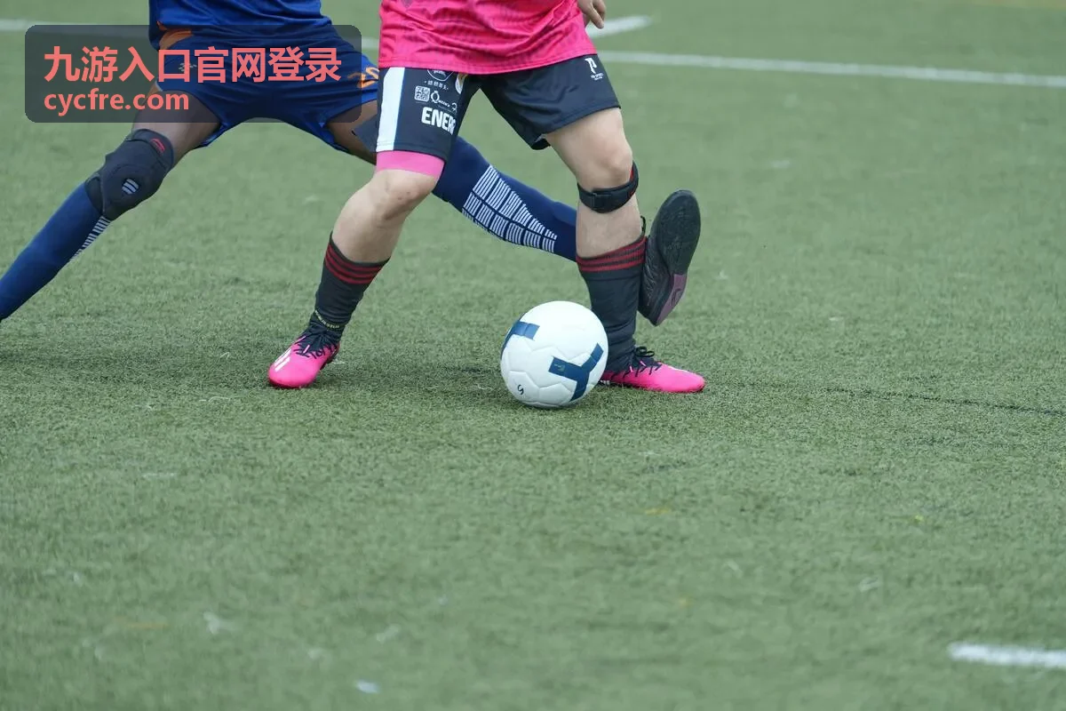 九游入口官网登录新设备确认步骤示意